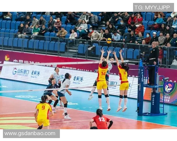 深圳排球队的速度之谜：排球巨献背后的训练与激情探讨